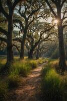 A serene forest path lined with trees and sunlight filtering through, evoking tranquility. photo