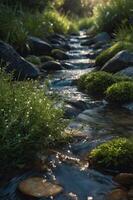 A serene stream flows through lush greenery and smooth stones, capturing nature's tranquility. photo
