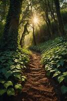 A serene forest path illuminated by the sun, surrounded by lush greenery and ivy. photo