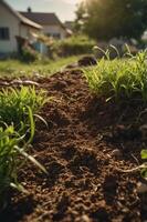 A close-up view of soil and grass with a house and trees in the background, suggesting gardening. photo