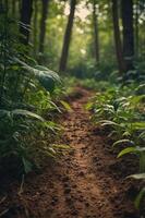 A serene forest path surrounded by lush greenery and soft soil, inviting exploration. photo