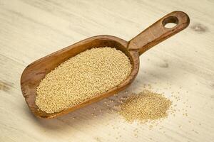 amaranth grain on a wooden scoop photo