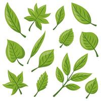 set Eco icon with green leaf vector
