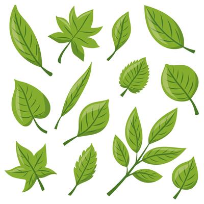 set Eco icon with green leaf