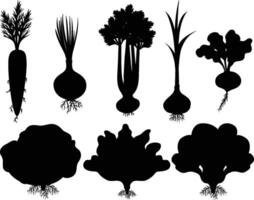 Set of Vegetable Icons in Flat Design Style vector