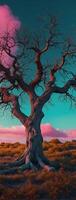 A tree in the middle of a field with pink and purple clouds photo