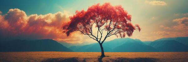 A lone tree in a field with mountains in the background photo