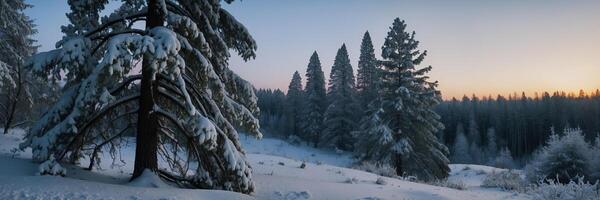 A snowy forest scene with trees and snow photo