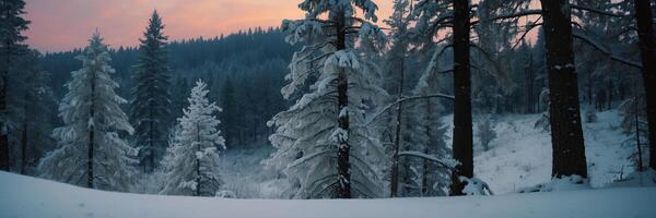 A snowy forest with trees and snow photo
