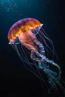 A jellyfish floats in the ocean with its tentacles out photo