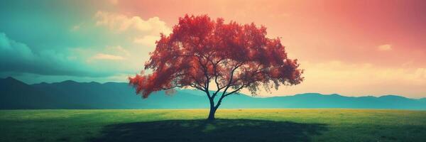 A red tree stands alone in a field photo