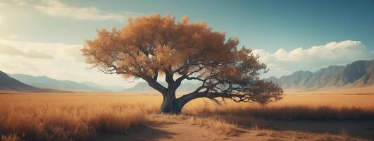 A lone tree in the middle of a desert photo