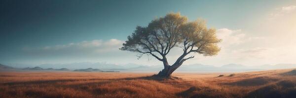 A lone tree stands in the middle of a field photo