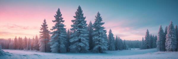 A snowy forest with trees and snow photo