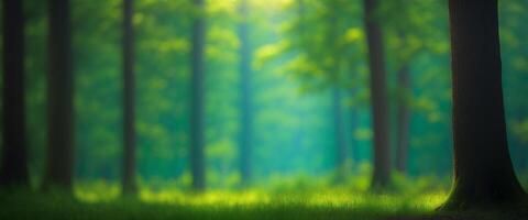 A blurry image of a forest with trees photo