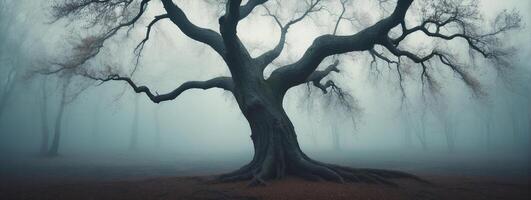 A tree in the fog with no leaves photo