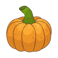 Illustration of pumpkin vector