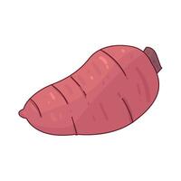 Illustration of beetroot vector