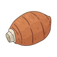 Illustration of Yam vector
