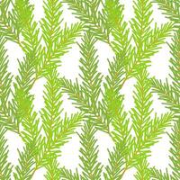 Fir branches pattern, coniferous green branches, Christmas holiday background, backdrop, backing, on white background. vector