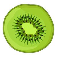 illustration of Kiwi slice vector