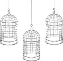 bird cage line sketch illustration vector