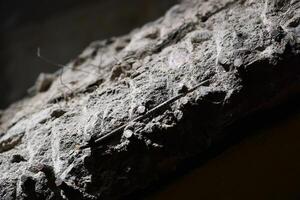 A Detailed CloseUp Photograph of Dust and Cobwebs Accumulated on a Surface Area photo