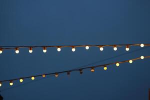 The sparkling twinkling lights create a beautiful display against a deep blue night sky photo