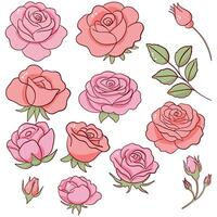 Pink Rose Clipart Set with Buds and Leaves vector