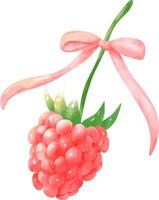Watercolor Raspberry with Pink Bow vector