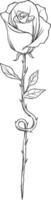 Rose minimalist tatto sketch illuastration vector