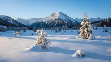 Snow covered trees in the mountains with snow covered mountains in the background photo