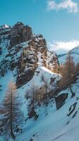 A snowy mountain landscape with trees and rocks photo