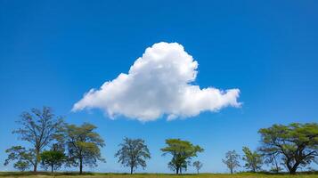 A large cloud is floating in the sky above a field photo
