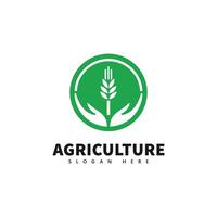 Hands Holding Wheat - Sustainable Farming Logo Design vector