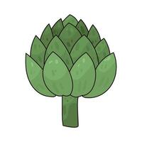Illustration of artichoke vector