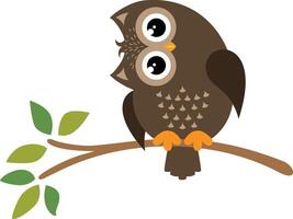 Adorable owl on tree branch vector