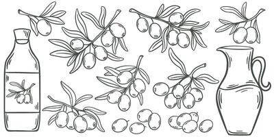 Ink hand engraving olives branches and oil set vector