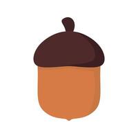 Beautiful autumn acorn isolated on white background vector