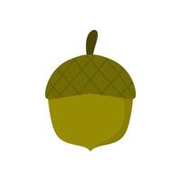 Acorn. Oak tree fruit. Hand drawn trendy flat style isolated on white background. vector