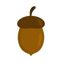 acorn on white background vector