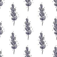 Seamless pattern with lavender flowers for decorative print, wrapping paper, greeting cards, wallpaper and fabric vector
