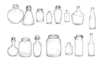 vase shape handdrawn collection vector