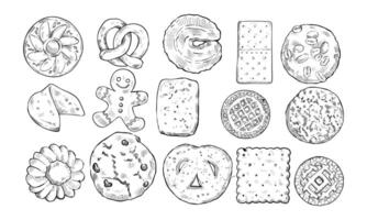 biscuit shape handdrawn collection vector