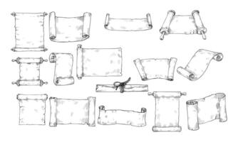 scrolls paper handdrawn collection vector