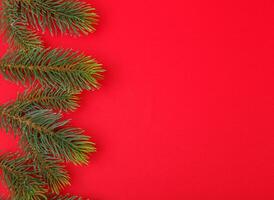 Christmas tree branches with cones on a red background photo
