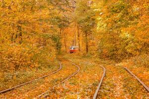 Autumn forest through which the tram travels, Kyiv and rails photo