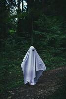 A child in a ghost costume among the trees in the forest photo