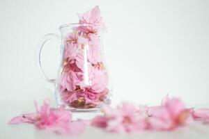 View of flowers and petals of Japanese sakura in a decanter photo