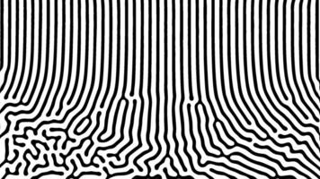 Black and white abstract art with wavy irregular lines vector